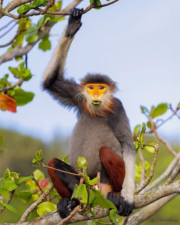 tu-vi-ngay-2-12-2025-cua-12-con-giap (1).jpg 0 Tử vi, con giáp, tử vi hàng ngày, tử vi ngày 2/12/2025