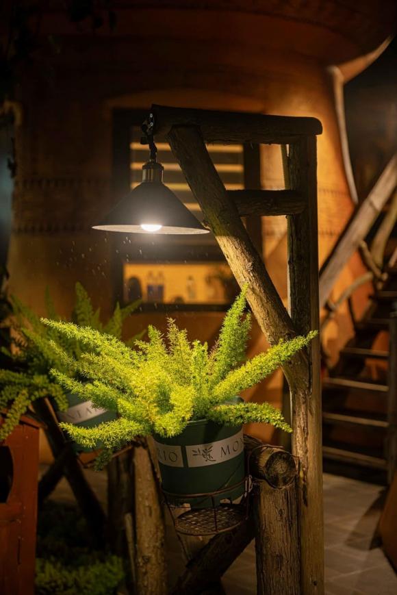 kỷ lục Việt Nam, Homestay Dảnh House