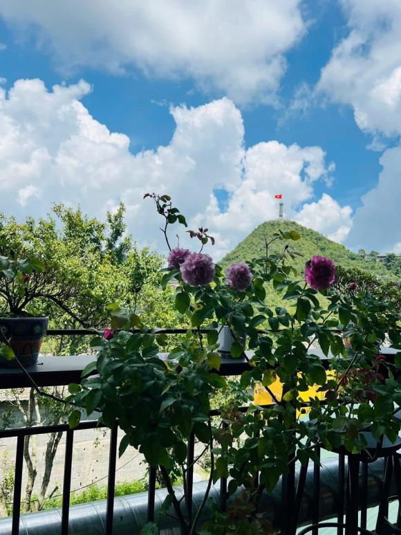 kỷ lục Việt Nam, Homestay Dảnh House