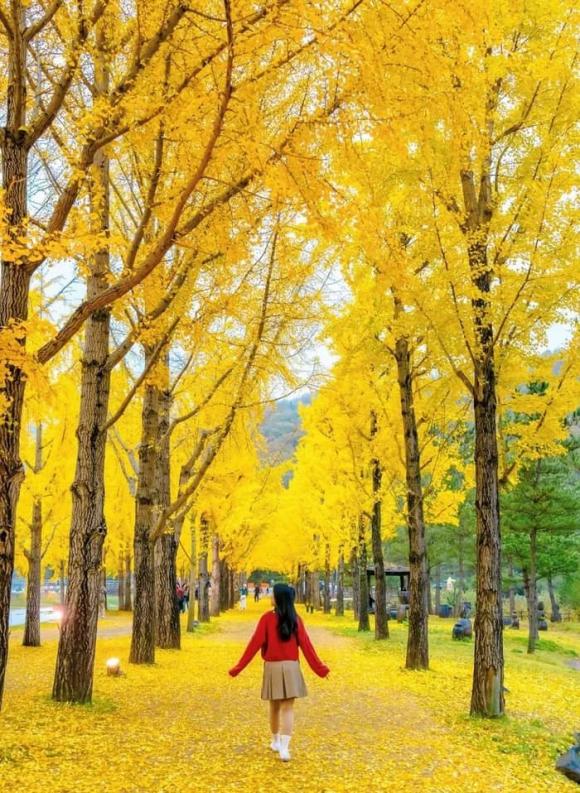 du-lich2-ngoisaovn-w700-h958 1 chủ chuỗi thẩm mỹ viện Mailisa, mailisa bị bắt