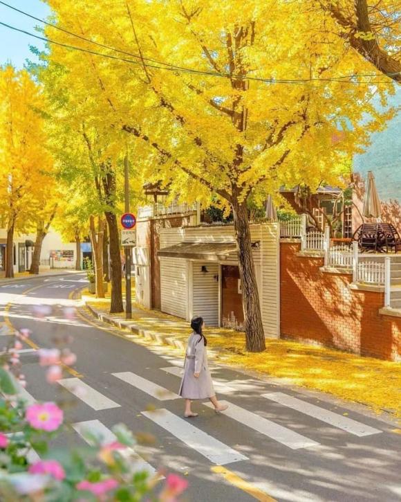 du-lich3-ngoisaovn-w700-h875 0 chủ chuỗi thẩm mỹ viện Mailisa, mailisa bị bắt