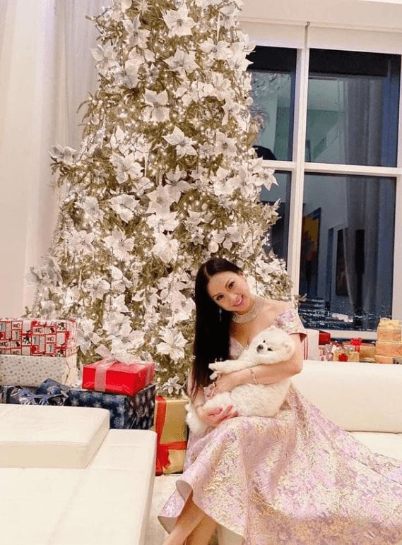 ca sĩ Việt giàu nhất thế giới, hà phương