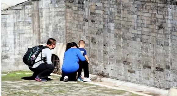 trẻ em, dạy con, thông minh