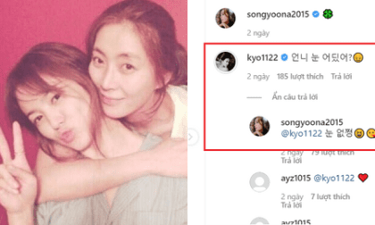 Song Hye Kyo lên top Naver chỉ vì một bình luận về mỹ nhân mang danh kẻ cướp chồng