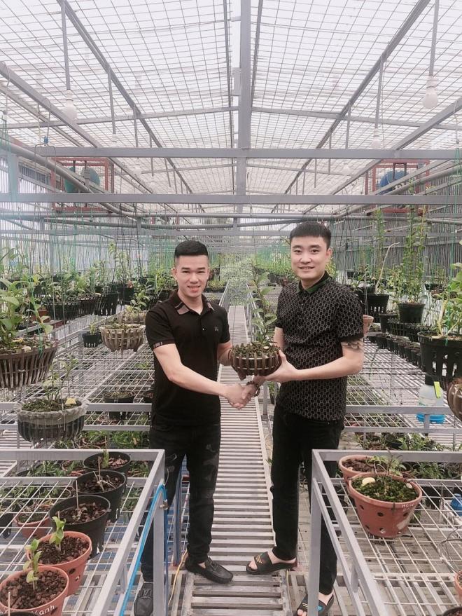 nghệ nhân Trần Quang Đồng, nghệ nhân trồng lan, Lan đột biến