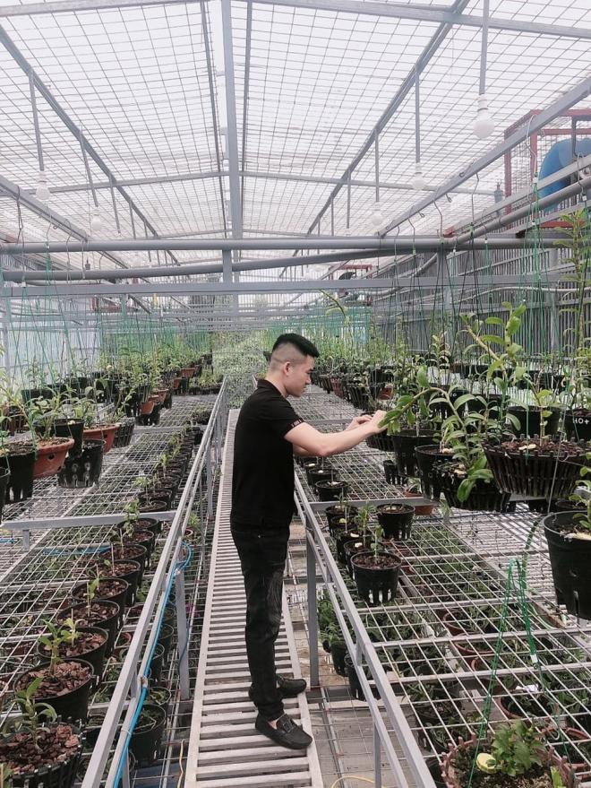 nghệ nhân Trần Quang Đồng, nghệ nhân trồng lan, Lan đột biến
