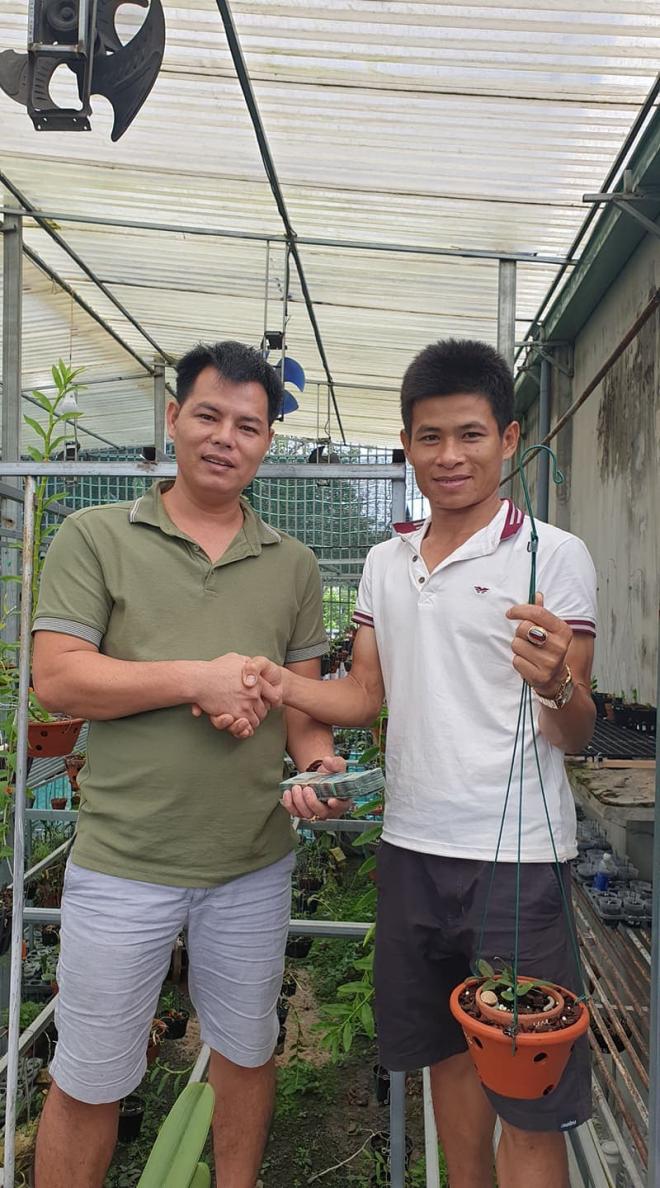 Lê Ngọc Hùng, Lan đột biến, Lan var