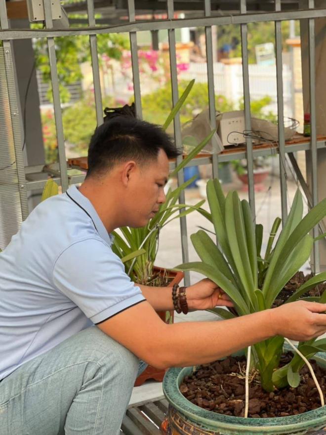 Lê Ngọc Hùng, Lan đột biến, Lan var
