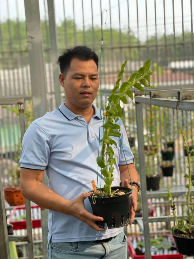 Lê Ngọc Hùng, Lan đột biến, Lan var