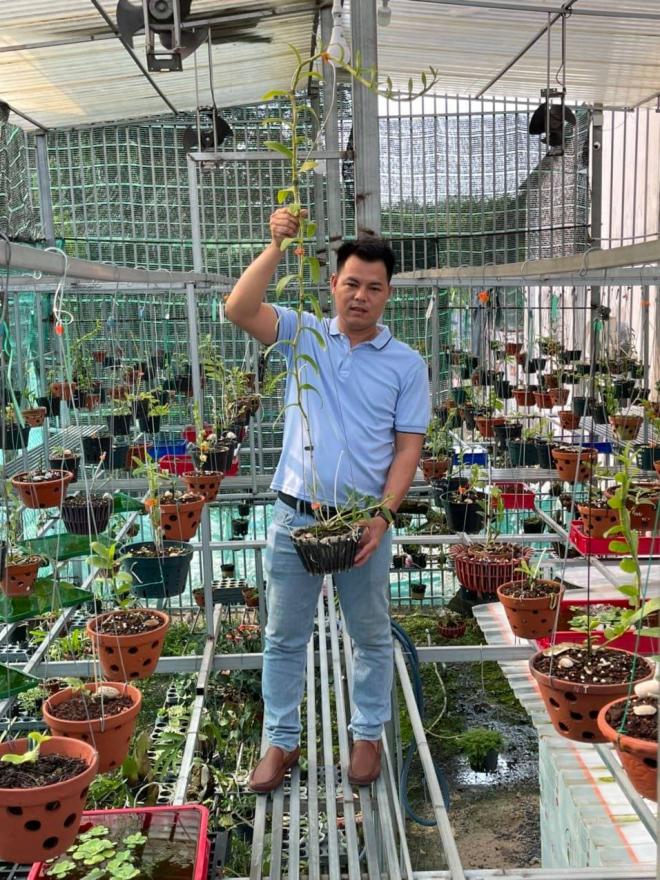 Lê Ngọc Hùng, Lan đột biến, Lan var