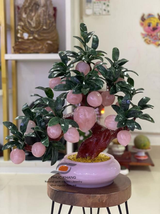 CEO Thiên Trang, Đá Phong Thuỷ, Phúc Khang Gems, Phạm Ngọc Thiên Trang