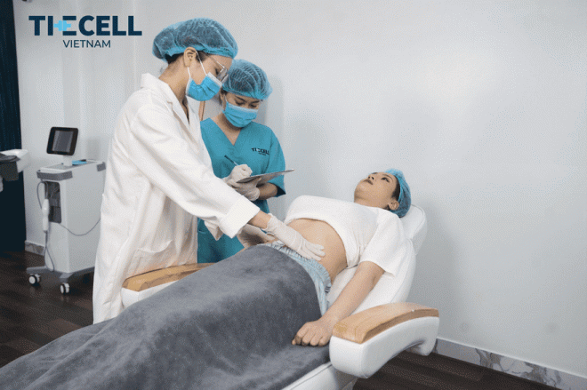 Giảm béo Meta Cell, giảm béo hiệu quả, giảm béo thần tốc, The Cell Việt Nam