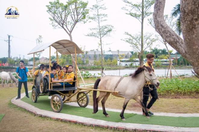 trại hè khai phóng năng lượng 2022, trại hè 2022, trung tâm ABA