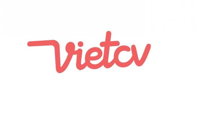 CV xin việc, VietCV, Mẫu CV chuyên nghiệp