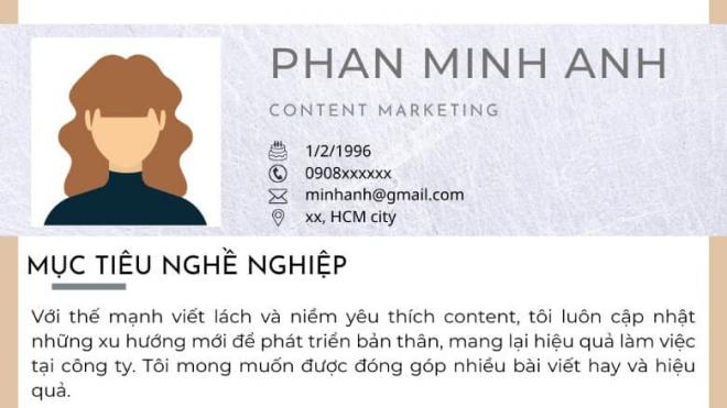 CV xin việc, VietCV, Mẫu CV chuyên nghiệp