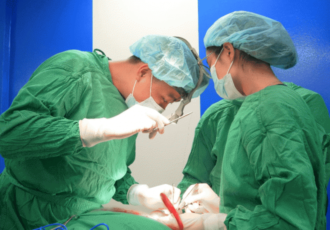 Phẫu thuật thẩm mỹ, Nâng mũi sụn sườn tự thân, Bác sĩ Trần Doãn Lâm